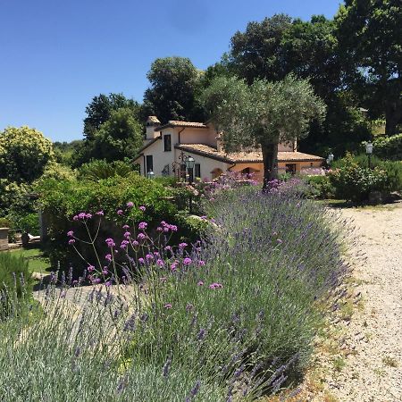 Villa Olivella Campagnano Di Roma Exterior foto