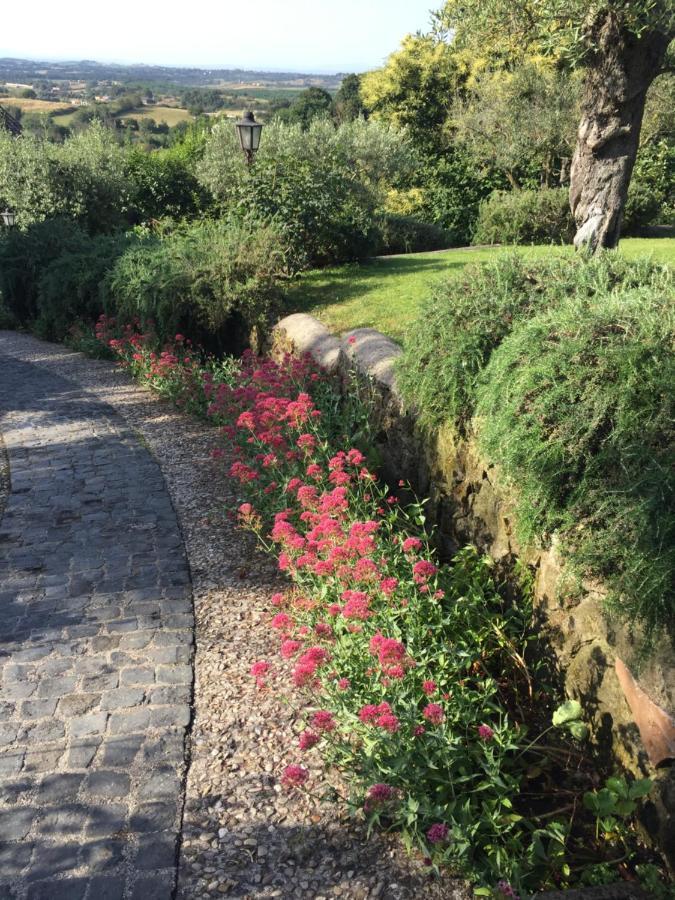Villa Olivella Campagnano Di Roma Exterior foto